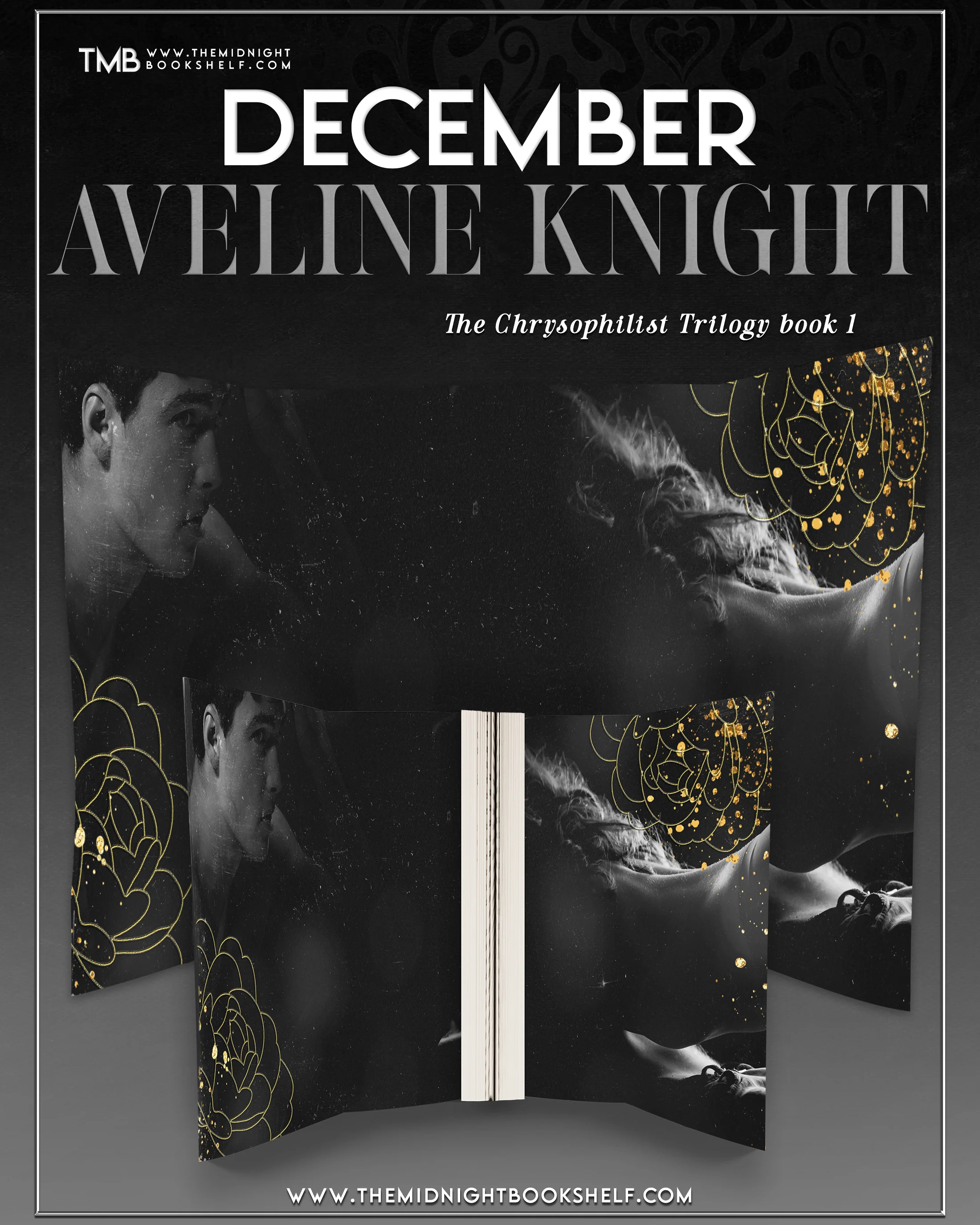 AVELINE KNIGHT - Image 4